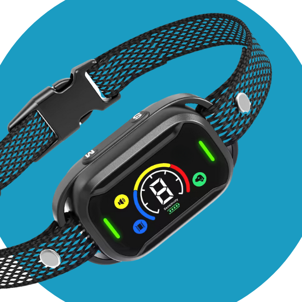 Bjeffehalsbånd (oppgradert) - reduser unødvendig bjeffing