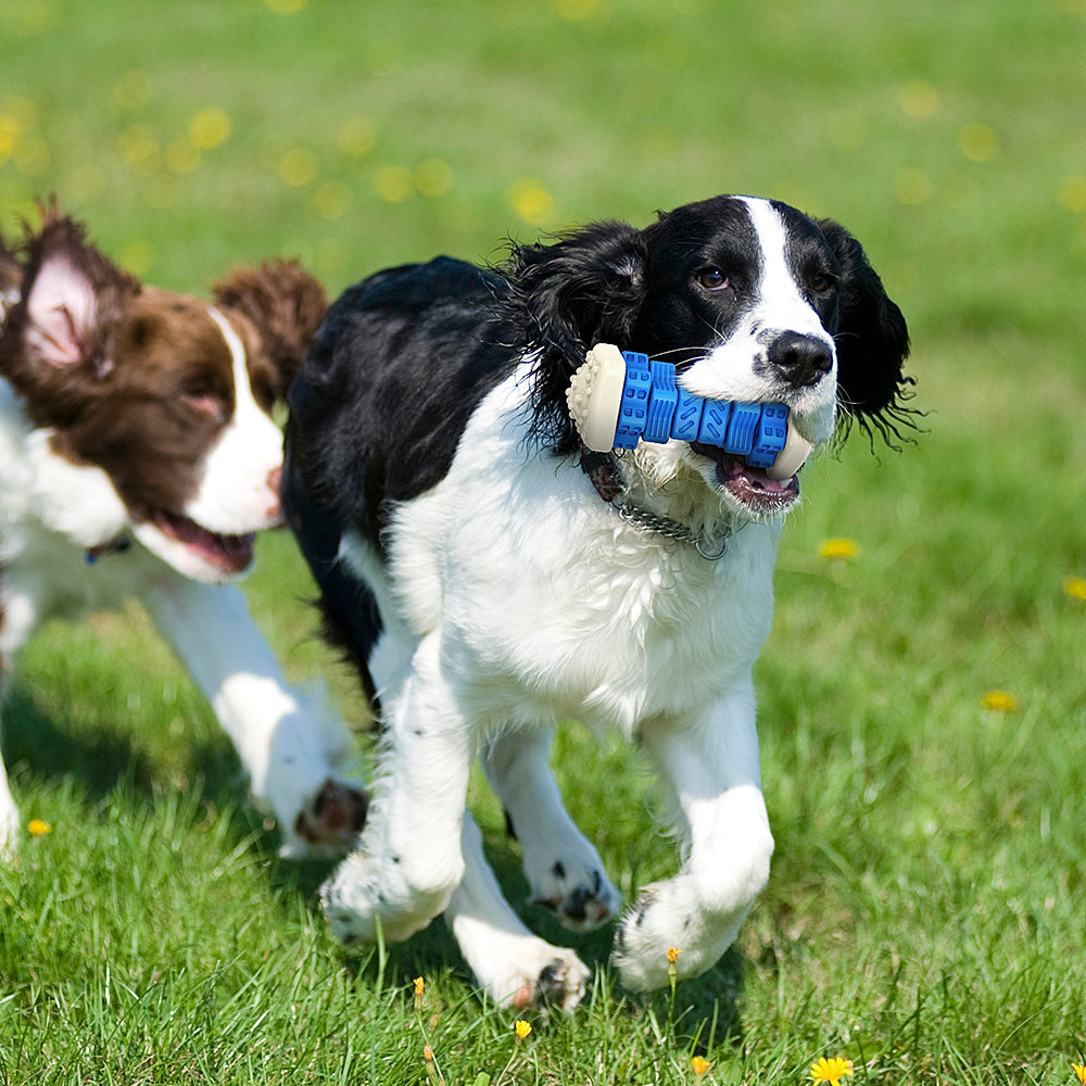 Fidos interaktive tyggebein - reduserer stress og kjedsomhet