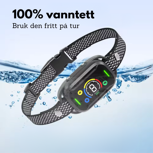 Bjeffehalsbånd (oppgradert) - reduser unødvendig bjeffing