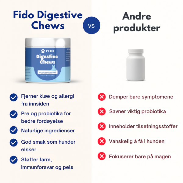 Digestive Chews - bidrar til god tarmhelse hos hunder (Prøv Gratis)