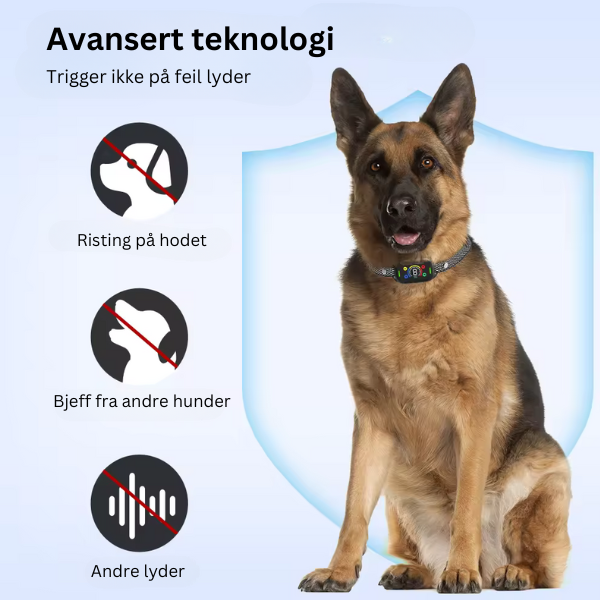 Bjeffehalsbånd (oppgradert) - reduser unødvendig bjeffing