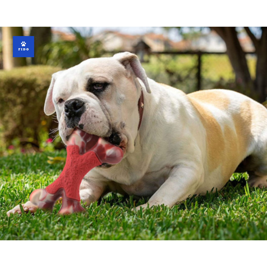 Fido Chew Bone - robust hundebein som varer