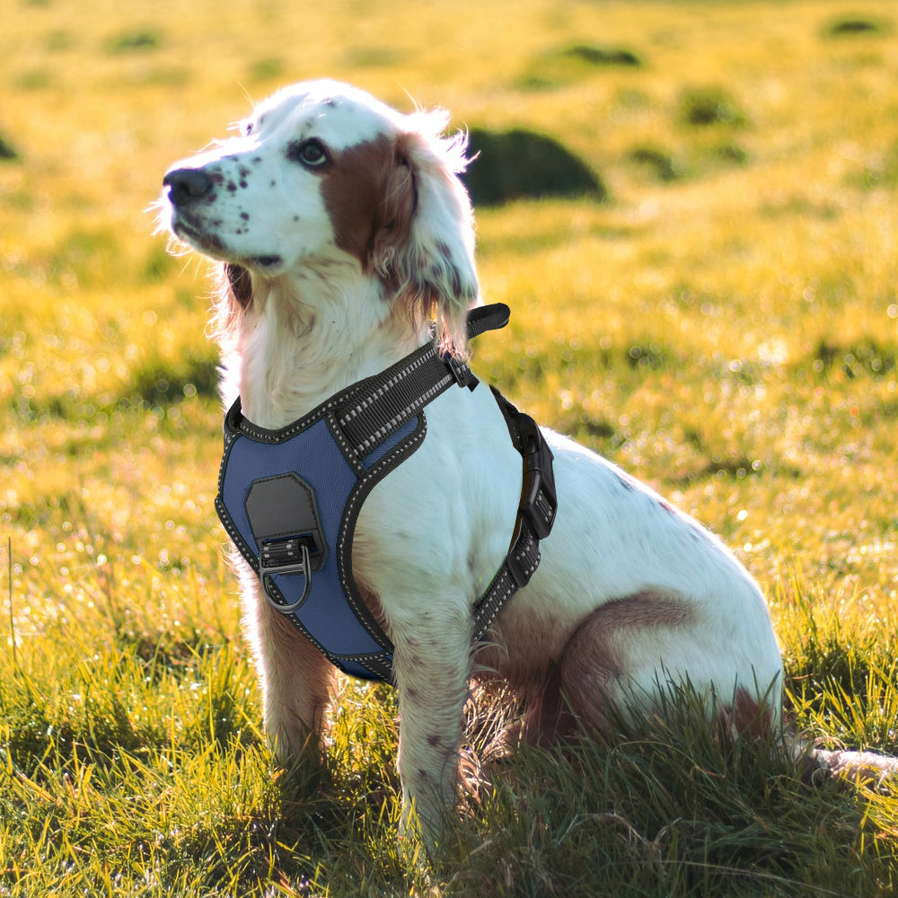 Fido hundesele
