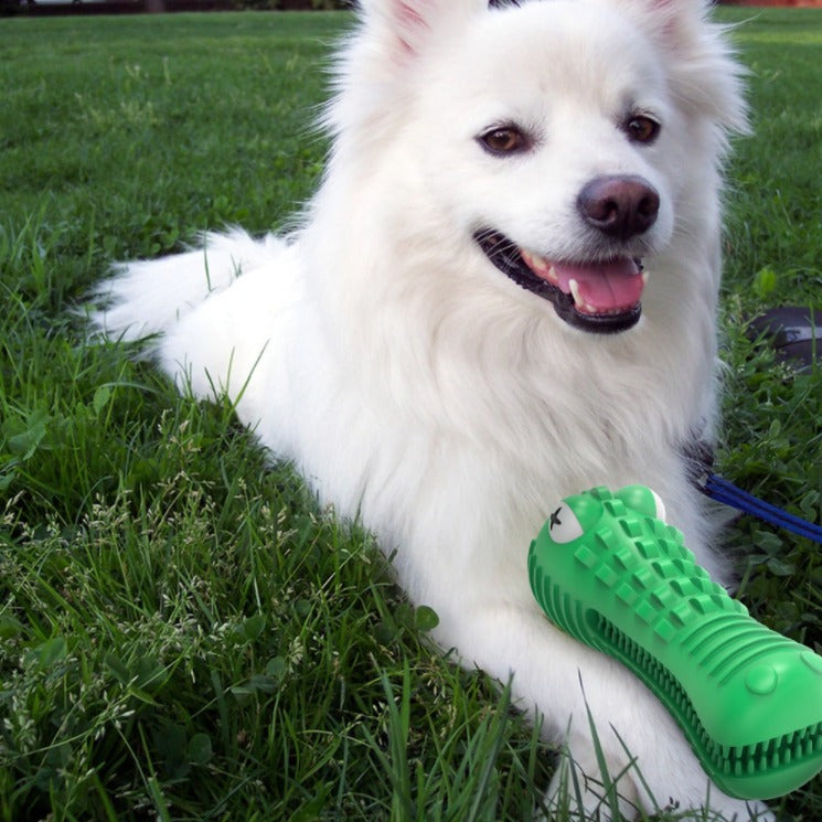 Squeaky Rubber Crocodile - Tyggeleke