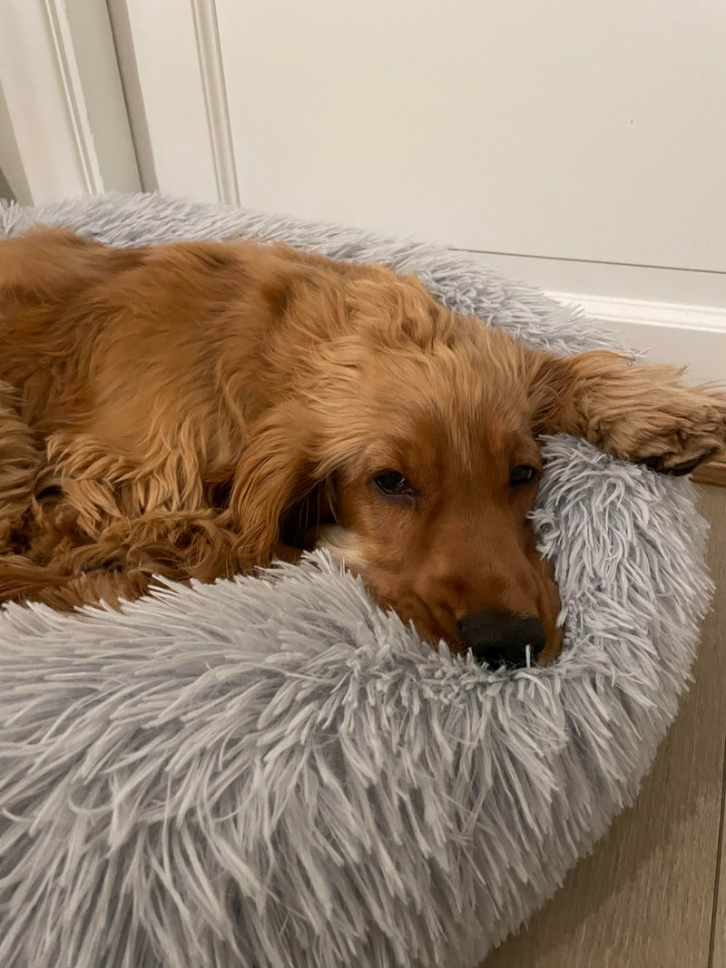 Fido's KomfortKrok - hundsäng för ökad sömnkvalitet