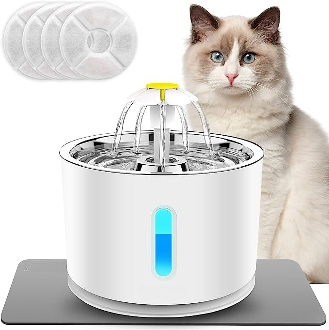 Drikkefontene for katt - rennende og filtrert vann