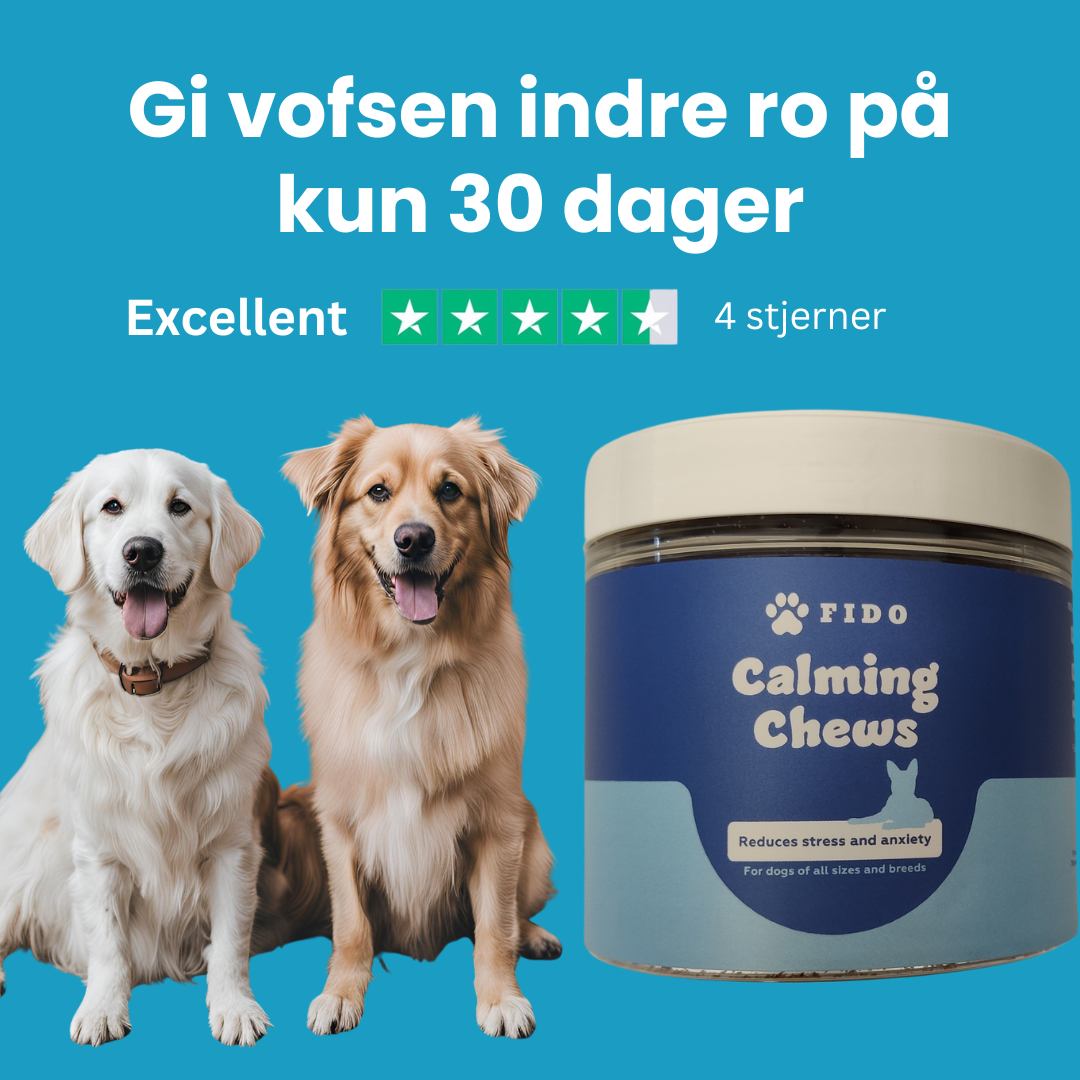 Fido Calming Chews - reduserer angst og uro hos hunden din