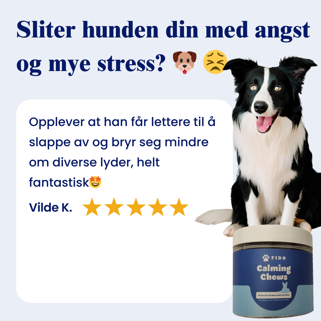 Fido Calming Chews - reduserer angst og uro hos hunden din