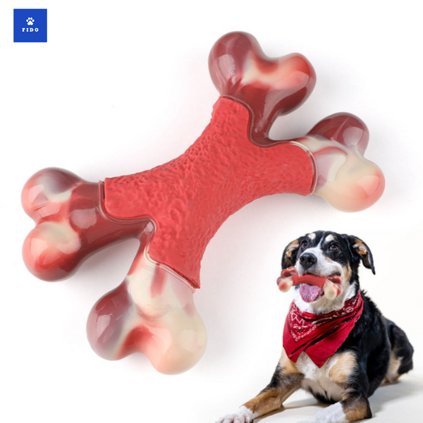 Fido tuggben - robust hundben som håller