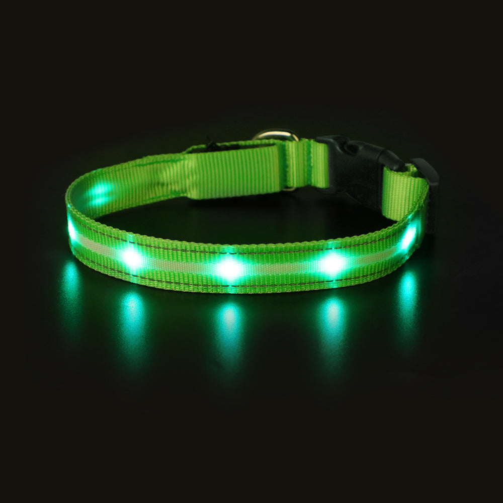 LED-halsbånd - synliggjør din hund