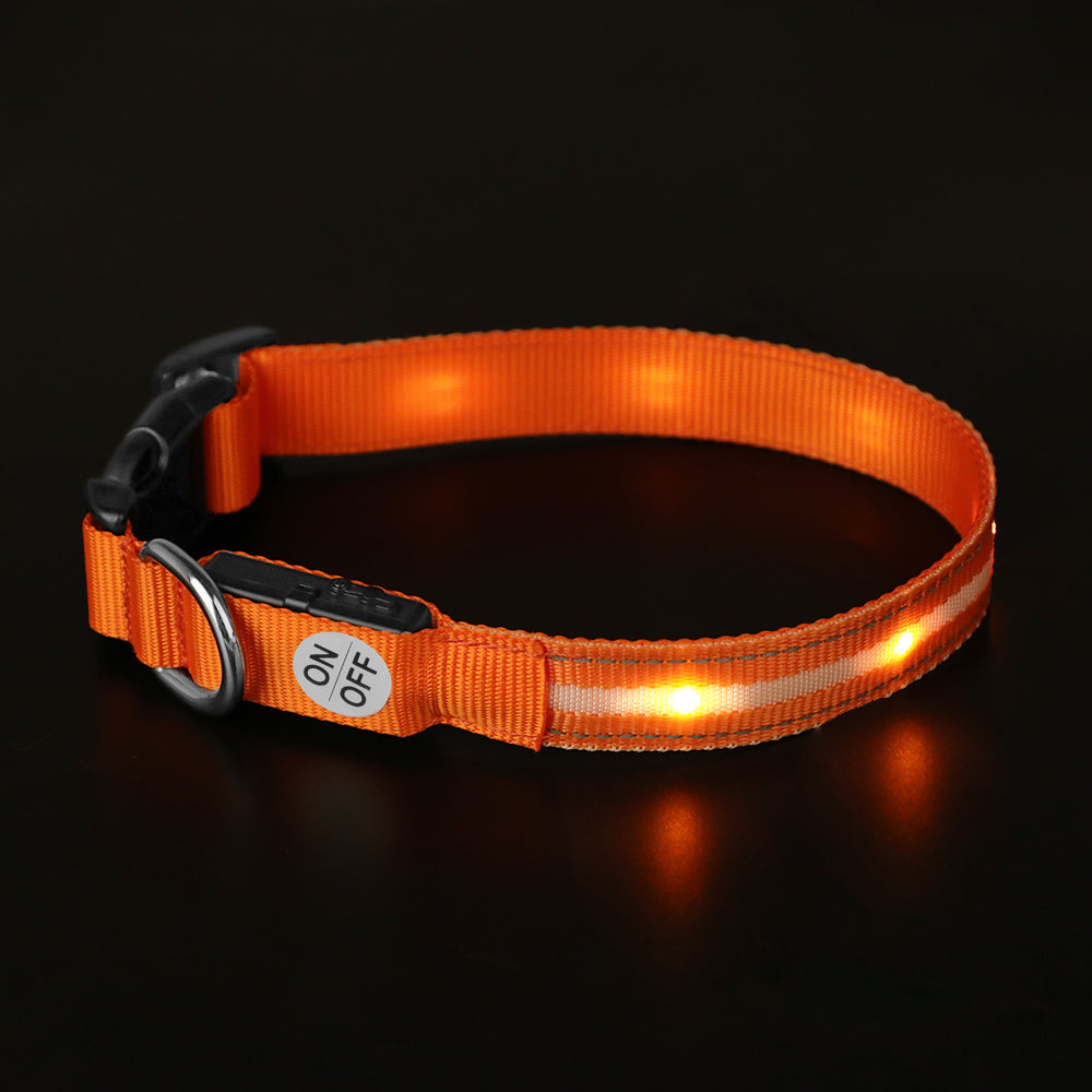 LED-halsband - gör din hund synlig
