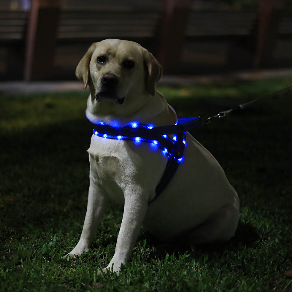 Antitrekk hundesele med LED-lys og refleks